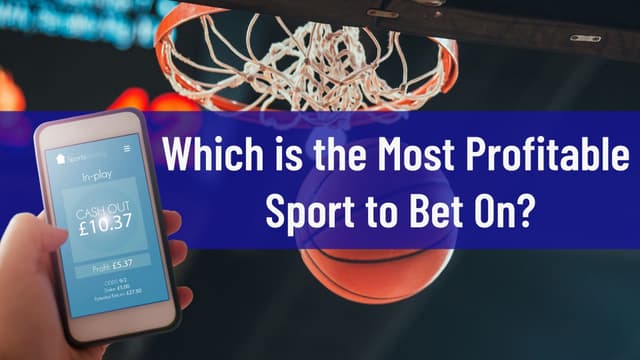 Найвигідніший вид спорту для ставок image